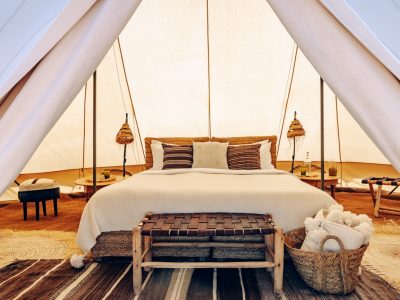 HDMagic-Oman291-OK-Groot