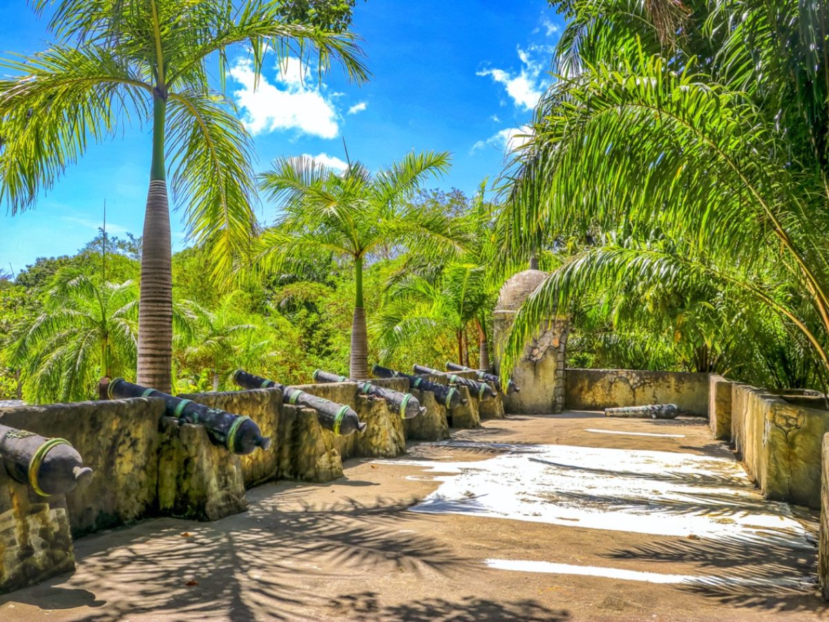 OCI_Honduras_Roatan_2025-09-10_12-18-14-Groot