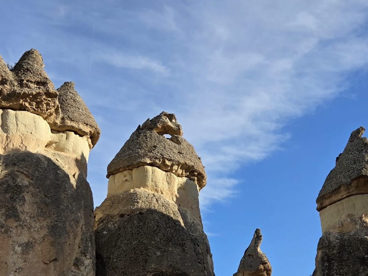 WhatsApp Image 2025-12-23 at 14.56.19