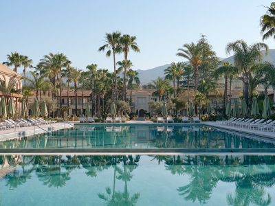 b9f8dc94f81a89c3d88bad7a89089902-Groot