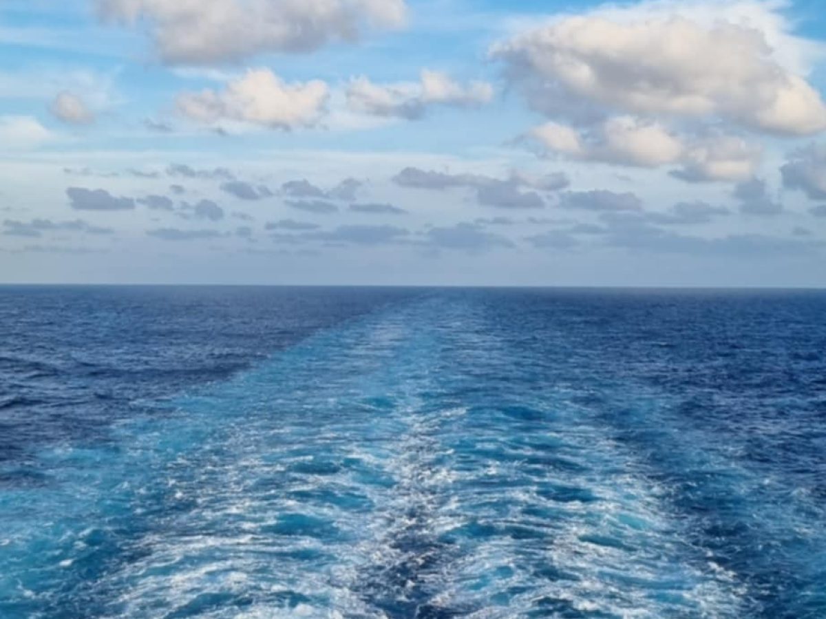 msc2